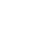 Lic