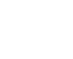 Opus